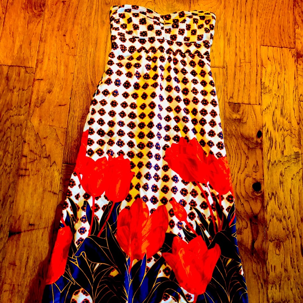 Beautiful Anthropologie dress